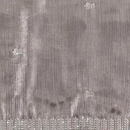 ALAGINI Ethnic Motifs Embroidered Organza Saree image 3