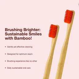 Dencrus Set Of 3 Orby Plus Bamboo Toothbrush image 2