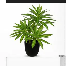 Dekorly Green Plastic Artificial Flowers & Plants With Pot-image-59