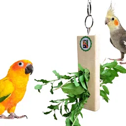 congo natural parrot treat Twigs Holder for Holding Natural Plant Twigs Wooden Chew Toy For Bird-picture-20