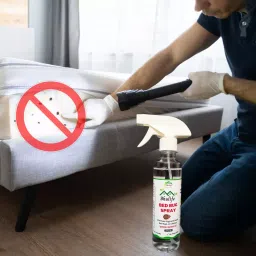 Bhulife 200 ml Each Fresh Fragrance Bedbug Killer Spray (Pack of 2) image 4