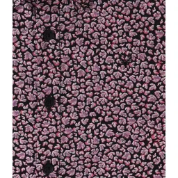 Allen Solly Junior Maroon Printed Shirt image 3