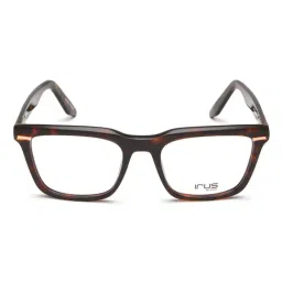 Irus Havana Square Eye Frames for Men image 2