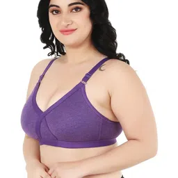 Narsingha Dreams Bra Full Coverage image 4