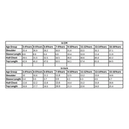 Kidsville Cotton Disney Frozen Featuring Half Sleeves Elsa & Anna Printed Tee - Blue Pink & Orange image 2