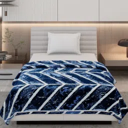 Monte Carlo Legacy-Sb Blue Polyester Printed 290 GSM Single Blanket image 3