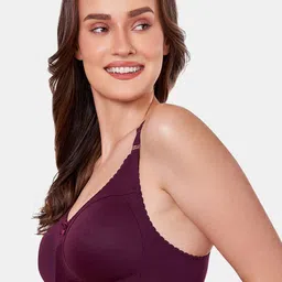 MAROON Non Padded All Day Comfort Full Coverage Seamless Super Support T-shirt Bra image 2