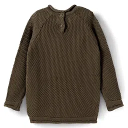 Babyoye Cotton Knit Full Sleeves Pullover Sweater With Butterfly Embriodery - Olive Green image 2