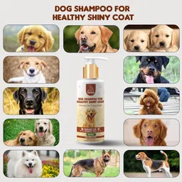 unitailz Dog Shampoo Healthy Shiny Coat | Dog Shampoo For Golden Retriever Dog & Puppy, Conditioning, Anti-dandruff, Anti-itching, Anti-microbial, Allergy Relief, Anti-fungal Fresh, Cleans Dirt & Dust, Maintains Skin & Hair Health | For All Dog Breed, Dog Shampoo image 5