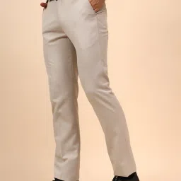 Cantabil Fawn Regular Fit Self Design Trousers image 3
