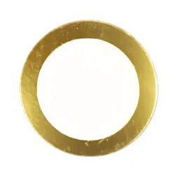 12 Volt Piezo Buzzer Plate (25mm)-image-6