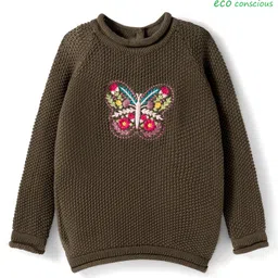 Babyoye Cotton Knit Full Sleeves Pullover Sweater With Butterfly Embriodery - Olive Green-picture-36
