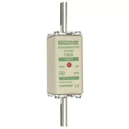 Mersen NH Fuse 100 A 690 V AC NH0, X227881 - NH0AM69V100-picture-19
