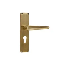 Godrej Door Handle Set 1CK NEH 19 Antique Brass, 2956-image-24