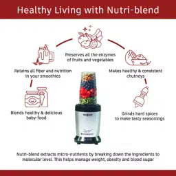 Wonderchef Thunder 1000 W 22000 RPM Grey Nutri-Blend Mixer (63153689) image 3