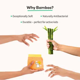 SuperBottoms Boys Pack Of 2 Assorted Basic Briefs UND-B-BRNL-TRNS-8-10Y-2P image 5