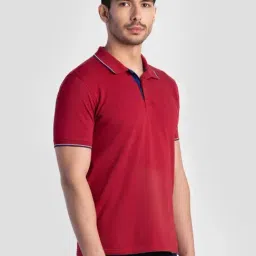 Reid & Taylor Maroon Cotton Regular Fit Polo T-Shirt image 4