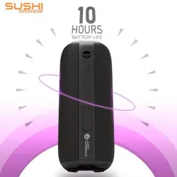 Just Corseca JST600 Black 4500mAh Sushi Grande Wireless Speaker image 2