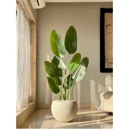 Mason Home Artificial Cavendish Traveller Plant-image-44
