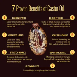 Park Daniel Set Of 2 Pure Natural & Organic Wheat Germ Oil & Castor Oil - 100 ml Each image 3