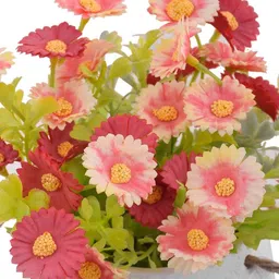 Myntra Elegant Homes Pink Daisy Artificial Flowers With Ceramic Pot image 4