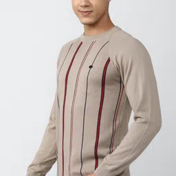 peter england Men Striped Round Neck Beige Sweater image 3