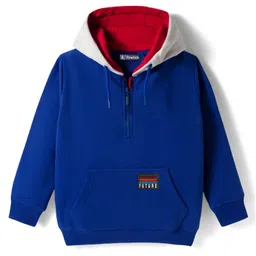 Pine Kids Cotton Knit Full Sleeves Hooded Sweatshirt With Patch Detailing & Kangaroo Pockets - Blue-picture-28