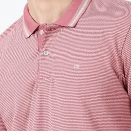 Peter England pink Stripes T-shirts image 4