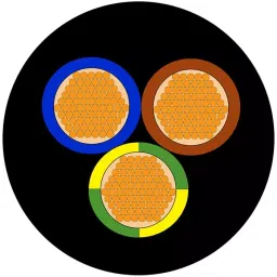 RS PRO 3 Core Power Cable 100 m 2.5 mm² 750 V, 8360704-image-25
