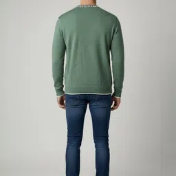 The Roadster Lifestyle Co Round Neck Pullover Sweater image 3