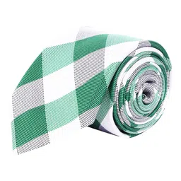 Alvaro Castagnino Men Checked Broad Tie image 5