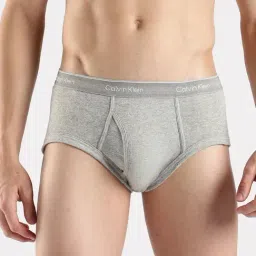 Calvin Klein Underwear Grey Cotton Regular Fit Briefs-image-65