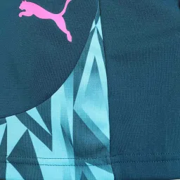 Puma individualFINAL Football Blue Regular Fit Printed Sports Shorts image 4