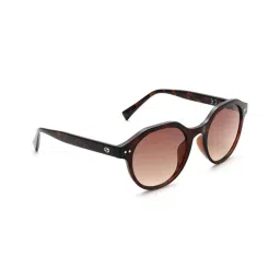 SCOTT Brown Round Sunglasses for Women image 4