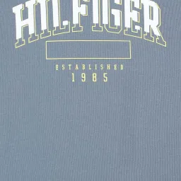 Tommy Hilfiger Kids Blue Coal Printed Regular Fit T-Shirt image 4
