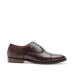 Arrow Men's ORION Brown Oxford Shoes-image-59