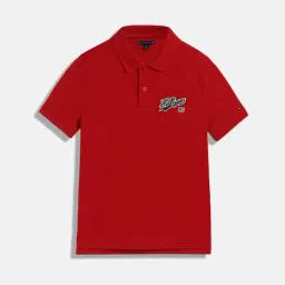 Tommy Hilfiger Red Cotton Regular Printed Polo-picture-36