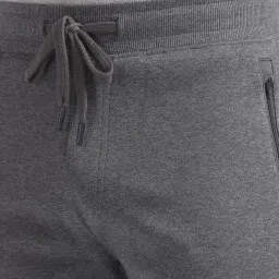 U.S. Polo Assn. Grey Regular Fit Shorts image 4