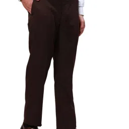 Park Avenue Brown Classic Fit Trousers image 4