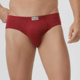 Ramraj Multicolor Solid Briefs (Pack of 4) image 4