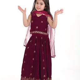 Babyhug Sleeveless Velvet Embroidered Lehenga Choli and Dupatta Set - Maroon-picture-16