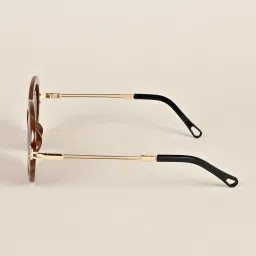 Voyage Brown Oversize Irregular UV Protection Sunglasses for Women image 4