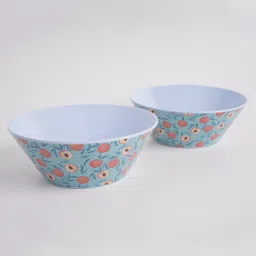 Superware Melamine Kids Snack bowl 4" Water Melon - Red & Peach - Blue (Set Of 4) image 4