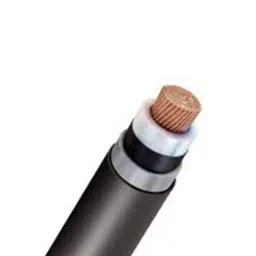 Polycab 16 Sq.mm 2 Core Copper Conductor Unarmoured LT Power Cable 2XY image 1