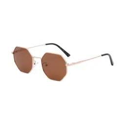 Ted Smith Brown Round UV Protection Unisex Sunglasses-image-76