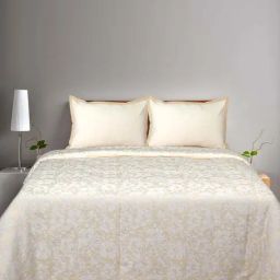 Saral Home Beige Cotton 224 TC 300 GSM King Size Bedsheet With 2 Pillow Covers-picture-26