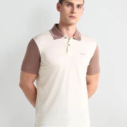 arrow new york Arrow Newyork Beige Cotton Regular Fit Colour Block Polo T-Shirt-picture-18