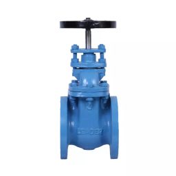 Leader 2-1/2 Inch, 65 mm Cast Iron Wheel Operated Gate Valve CI 004-picture-2