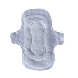 Smart Care Sanitary Pad Size - Regular image 3