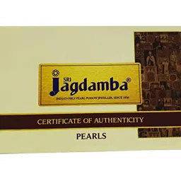 Sri Jagdamba Pearls Raveena Pearl White Alloy Necklace & Earring Set image 4